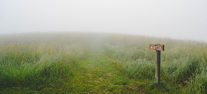 Empty Grassland